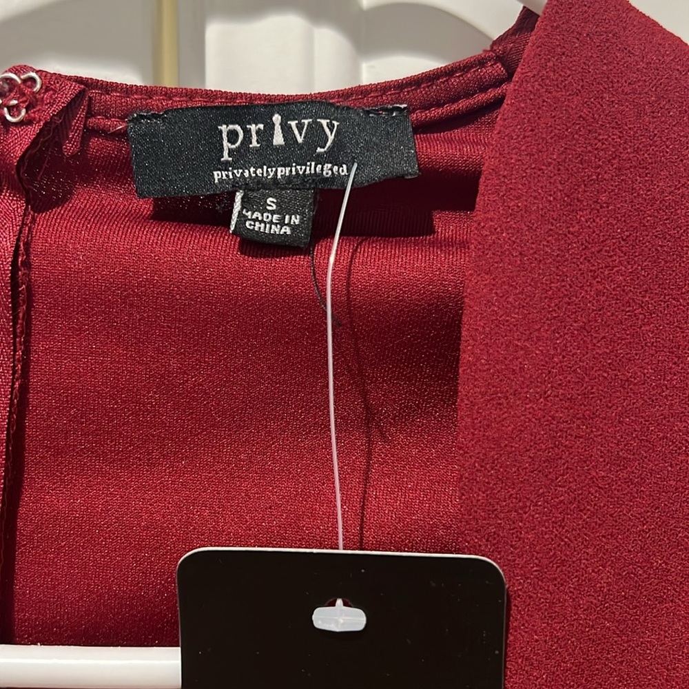 Privy Burgundy and Beige Long Sleeve Dress - Picture 2 of 5